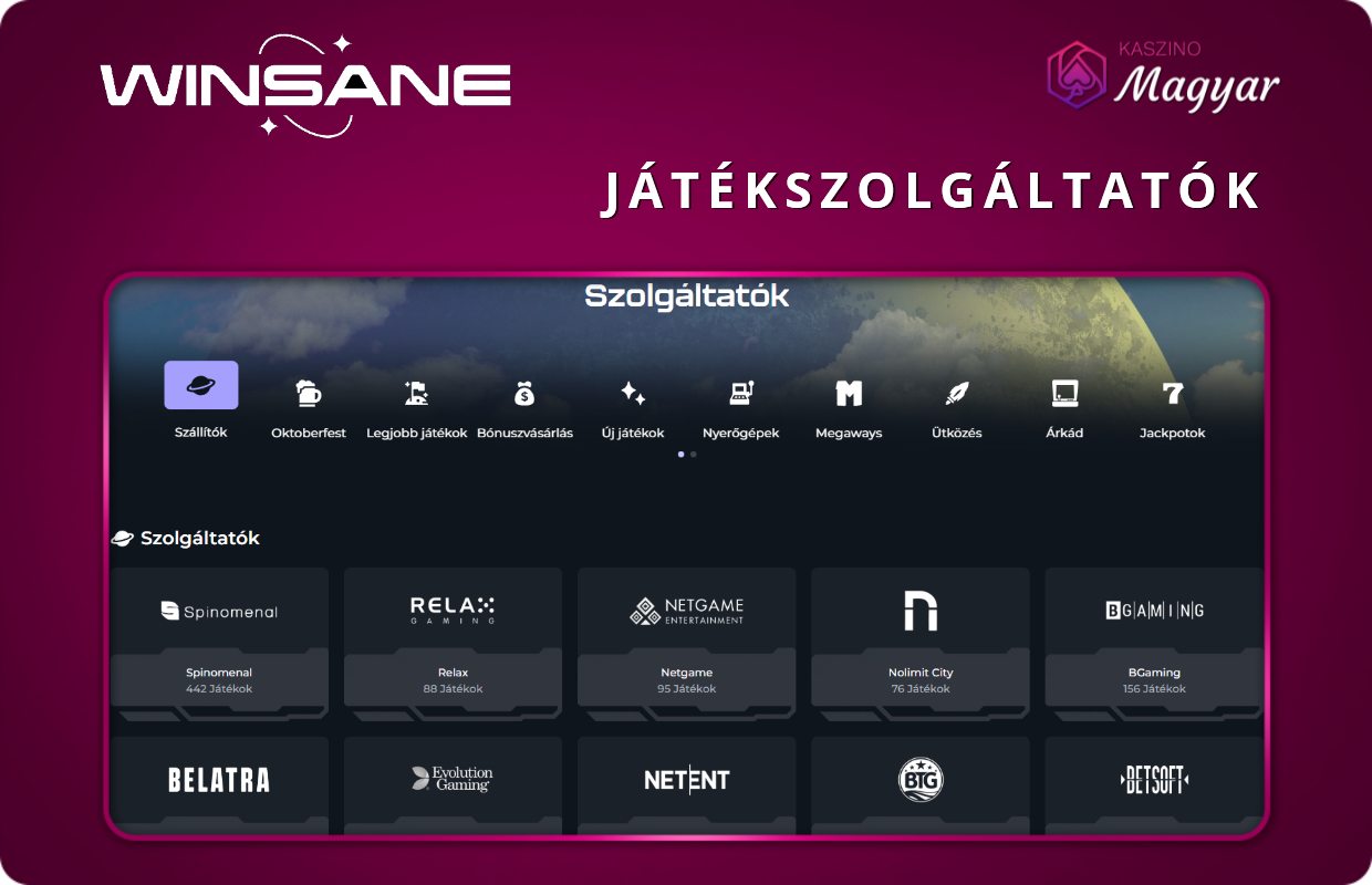 Winsane játékszolgáltatók